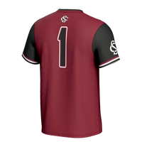 South Carolina Gamecocks Softball Jersey, Sportswear Jersey Shirt, Lightweight Breathable Athletic Jersey, Casual Gift for Men, Style 201254670