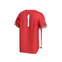 Louisiana Ragin' Cajuns Baseball Jersey, Sportswear Jersey Shirt, Lightweight Breathable Athletic Jersey, Casual Gift for Men, Style 201241527