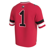 Northern Illinois Huskies Football Jersey, Cardinal Fashion Sportswear Jersey Shirt, Lightweight Breathable Athletic Jersey, Casual Gift for Men