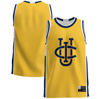 UC Irvine Anteaters Lightweight Basketball Jersey, Blue Sportswear Jersey Shirt, Sleeveless Athletic Tank Jersey, Casual Gift for Men
