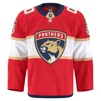 Florida Panthers Hockey Jersey, Red Authentic Sportswear Jersey Shirt, Long Sleeve Hockey Sweater Jersey, Casual Gift for Men, Style 202056755