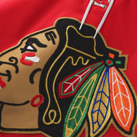 Chicago Blackhawks Hockey Jersey, Red Premium Sportswear Jersey Shirt, Long Sleeve Hockey Sweater Jersey, Casual Gift for Men, Style 203133890