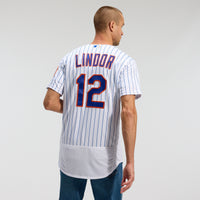 Francisco Lindor New York Mets Baseball Jersey, Sportswear Jersey Shirt, Lightweight Athletic Jersey, Casual Gift for Men, Style 4375194