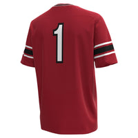 South Carolina Gamecocks Football Jersey, Sportswear Jersey Shirt, Lightweight Breathable Athletic Jersey, Casual Gift for Men, Style 201149675