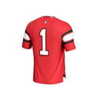 Northeastern Huskies Football Jersey, Red Fashion Sportswear Jersey Shirt, Lightweight Breathable Athletic Jersey, Casual Gift for Men