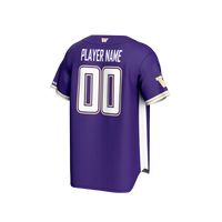 Washington Huskies Baseball Jersey, Purple Sportswear Jersey Shirt, Lightweight Breathable Athletic Jersey, Casual Gift for Men, Style 201141650