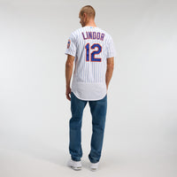 Francisco Lindor New York Mets Baseball Jersey, Sportswear Jersey Shirt, Lightweight Athletic Jersey, Casual Gift for Men, Style 4375194