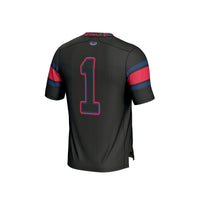 Florida Atlantic Owls Football Jersey, Black Lightweight Sportswear Jersey Shirt, Lightweight Breathable Athletic Jersey, Casual Gift for Men