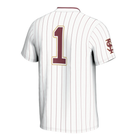 Florida State Seminoles Softball Jersey, Sportswear Jersey Shirt, Lightweight Breathable Athletic Jersey, Casual Gift for Men, Style 201254666
