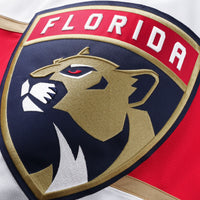 Florida Panthers Hockey Jersey, White Authentic Away Sportswear Jersey Shirt, Long Sleeve Hockey Sweater Jersey, Casual Gift for Men