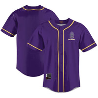 UAlbany Great Danes Baseball Jersey, Purple Lightweight Sportswear Jersey Shirt, Lightweight Breathable Athletic Jersey, Casual Gift for Men