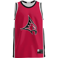 Wisconsin-River Falls Falcons Basketball Jersey, Red Lightweight Sportswear Jersey Shirt, Sleeveless Athletic Tank Jersey, Casual Gift for Men