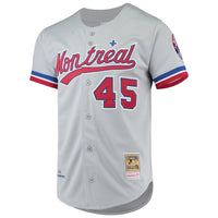 Montreal Expos Pedro Martinez Gray Cooperstown Baseball Jersey, Sportswear Jersey Shirt, Lightweight Athletic Jersey, Casual Gift for Men
