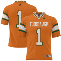 Florida A&M Rattlers Football Jersey, Orange Sportswear Jersey Shirt, Lightweight Breathable Athletic Jersey, Casual Gift for Men