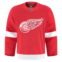 Detroit Red Wings Hockey Jersey, Authentic Home Sportswear Jersey Shirt, Long Sleeve Hockey Sweater Jersey, Casual Gift for Men, Style 201897999