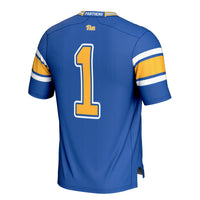 Pitt Panthers Football Jersey, Cardinal Sportswear Jersey Shirt, Lightweight Breathable Athletic Jersey, Casual Gift for Men, Style 200447741