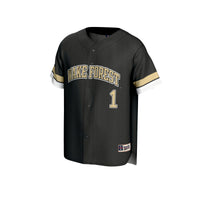 Wake Forest Demon Deacons Baseball Jersey, Black Fashion Sportswear Jersey Shirt, Lightweight Breathable Athletic Jersey, Casual Gift for Men