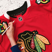 Chicago Blackhawks Hockey Jersey, Red Authentic Sportswear Jersey Shirt, Long Sleeve Hockey Sweater Jersey, Casual Gift for Men, Style 202056756